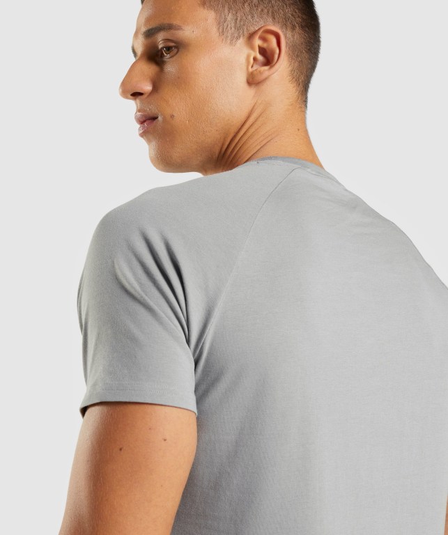 Grey Gymshark Apollo Men's T Shirts | US-64BWVED