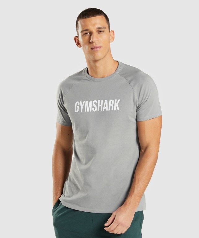 Grey Gymshark Apollo Men\'s T Shirts | US-64BWVED