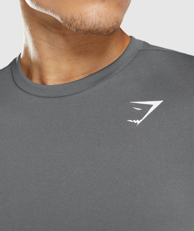 Grey Gymshark Arrival Men's T Shirts | US-01SICMX