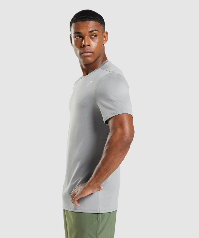 Grey Gymshark Arrival Men's T Shirts | US-09USDGT