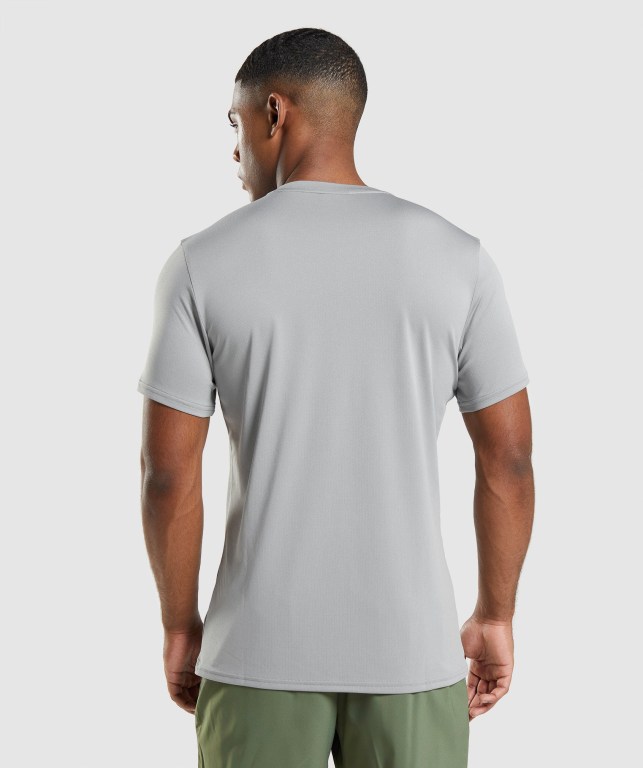 Grey Gymshark Arrival Men's T Shirts | US-09USDGT