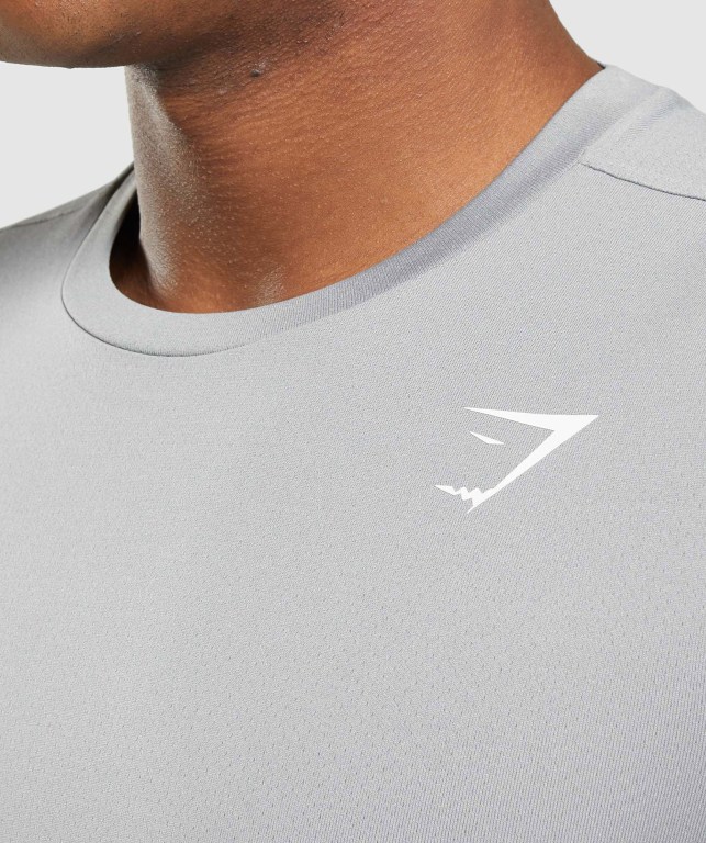 Grey Gymshark Arrival Men's T Shirts | US-09USDGT