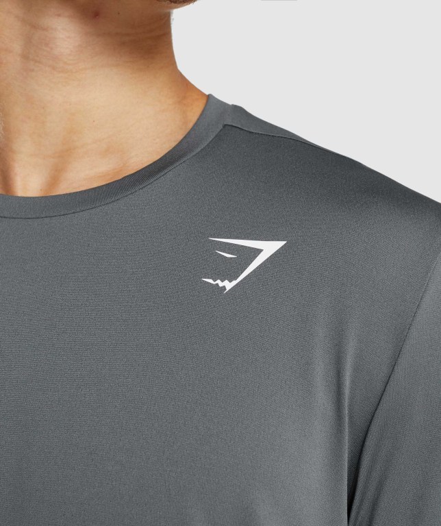 Grey Gymshark Arrival Men's T Shirts | US-45ZGNSD