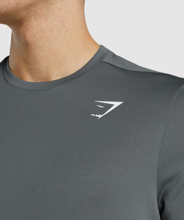 Grey Gymshark Arrival Regular Fit Men's T Shirts | US-81OMXIE