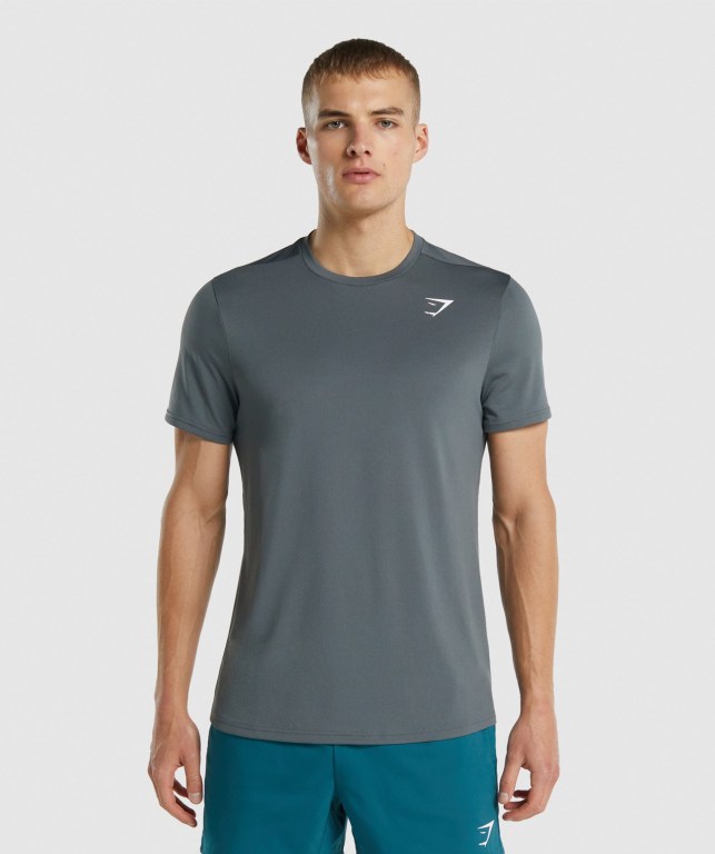 Grey Gymshark Arrival Regular Fit Men\'s T Shirts | US-81OMXIE