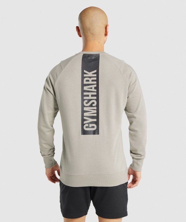 Grey Gymshark Bold Crew Men's Hoodies | US-96XLRBF