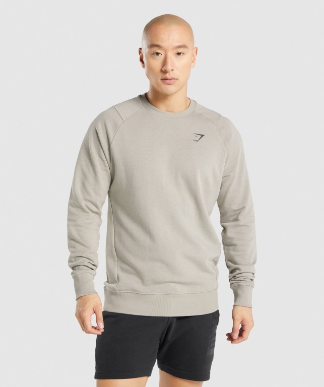 Grey Gymshark Bold Crew Men\'s Hoodies | US-96XLRBF