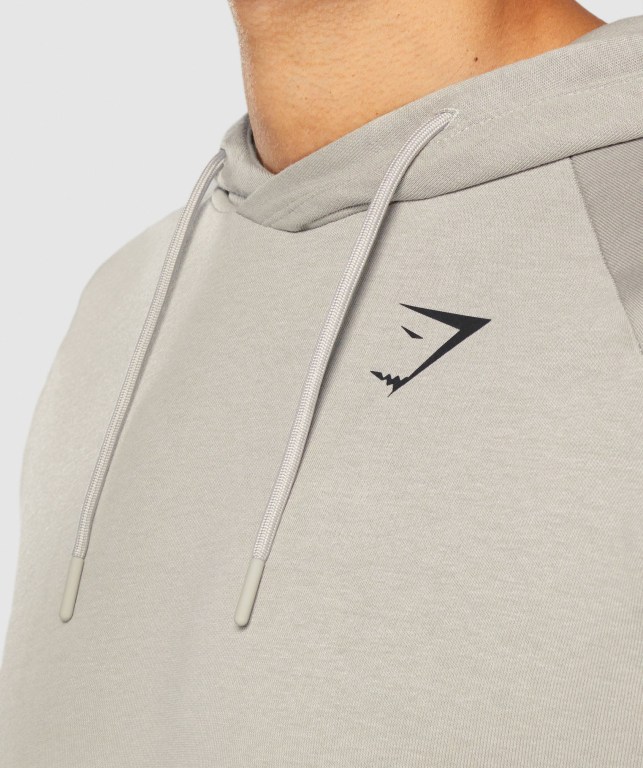 Grey Gymshark Bold Men's Hoodies | US-83KNFEO