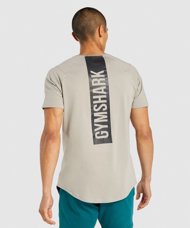 Grey Gymshark Bold Men's T Shirts | US-28SALKN