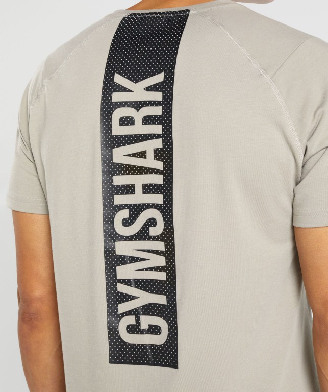 Grey Gymshark Bold Men's T Shirts | US-28SALKN