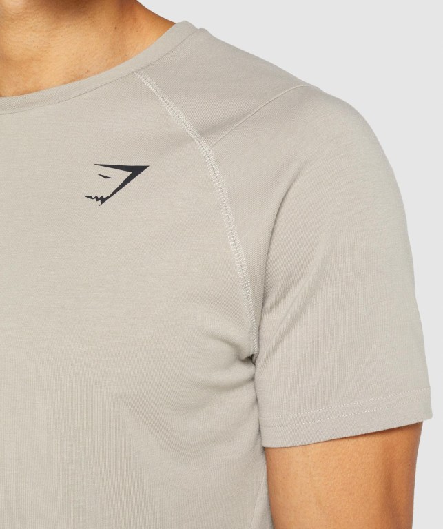 Grey Gymshark Bold Men's T Shirts | US-28SALKN