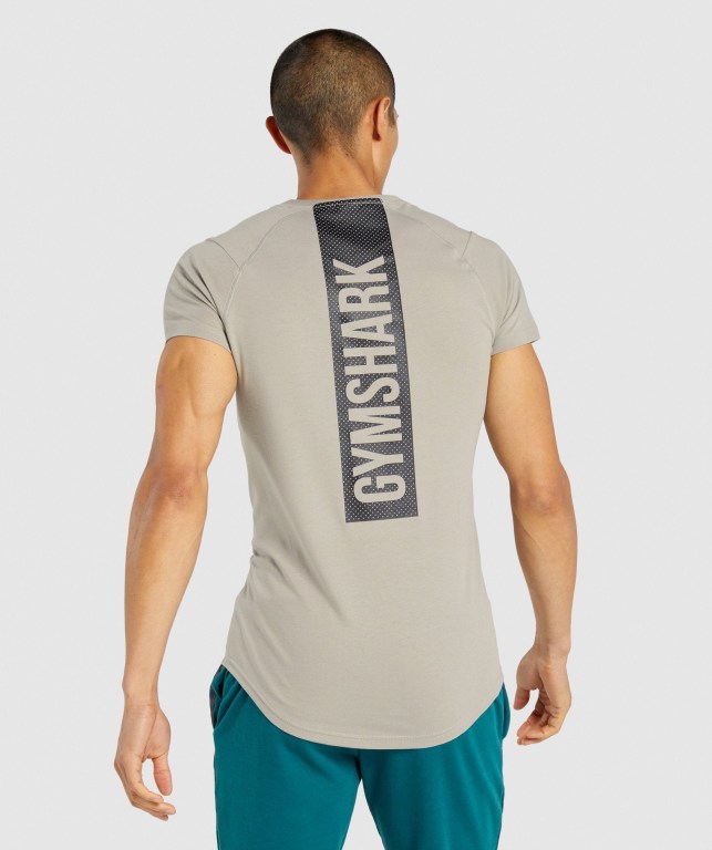 Grey Gymshark Bold Men's T Shirts | US-49ZYQRW