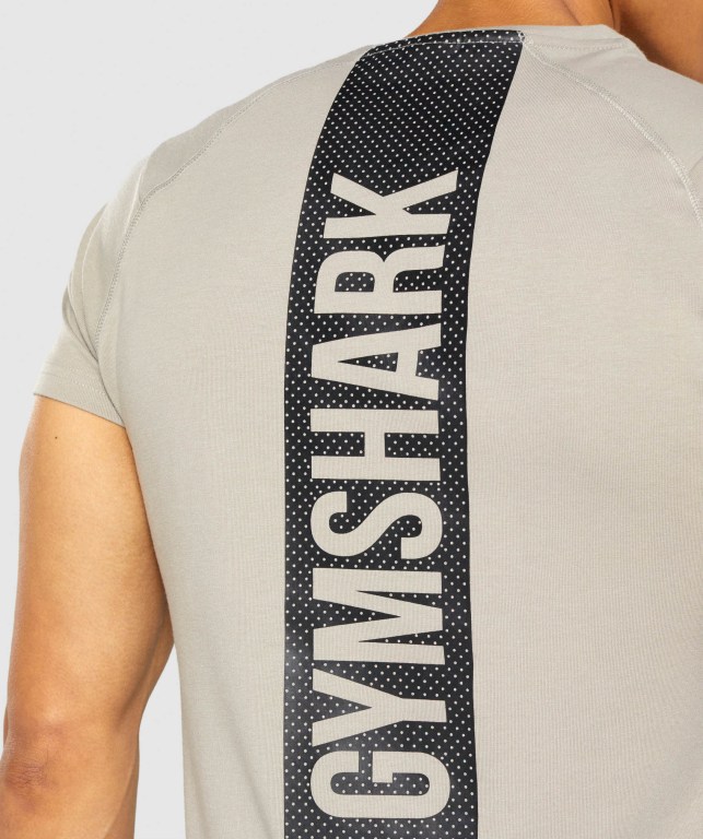 Grey Gymshark Bold Men's T Shirts | US-49ZYQRW