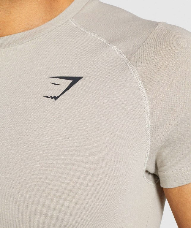 Grey Gymshark Bold Men's T Shirts | US-49ZYQRW