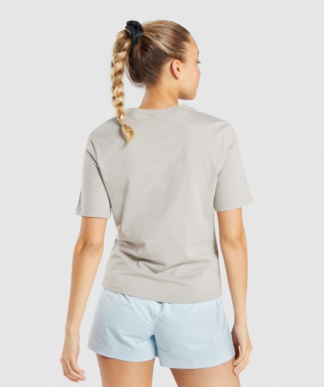 Grey Gymshark CTY Women's T Shirts | US-34VZKAG