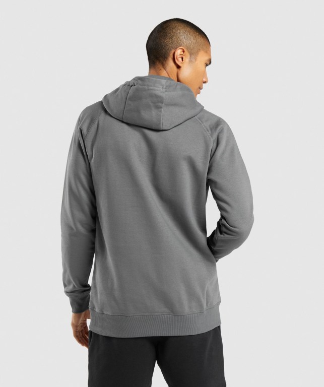 Grey Gymshark Central Men's Hoodies | US-13OMDGV