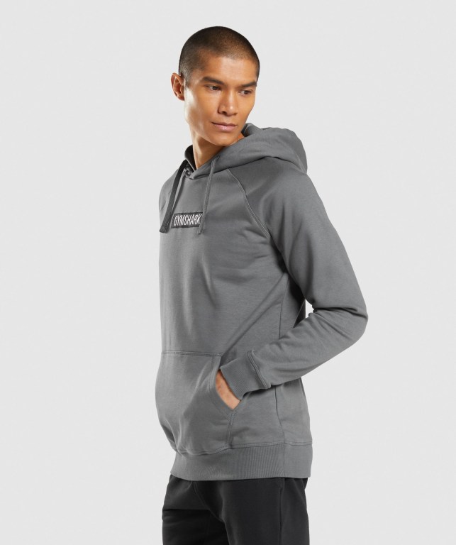 Grey Gymshark Central Men's Hoodies | US-13OMDGV