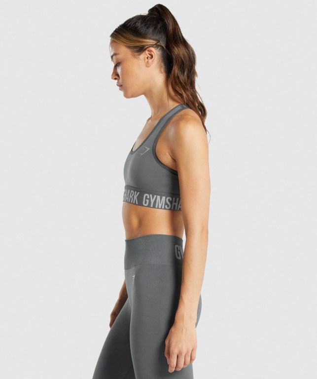 Grey Gymshark Fit Seamless Women's Sports Bra | US-24PVHIM