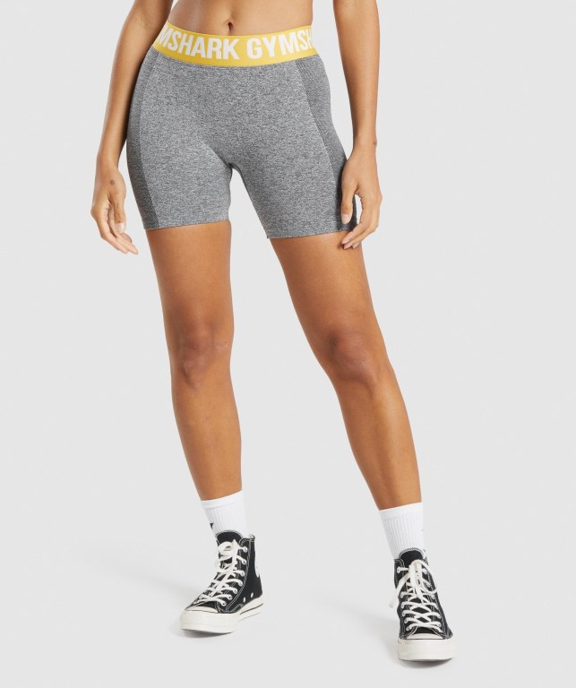 Grey Gymshark Flex Women\'s Shorts | US-62UVHGB