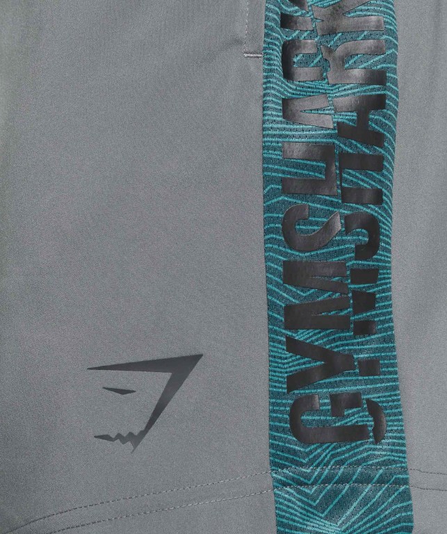 Grey Gymshark Graphic Sport Men's Shorts | US-21PFCDY