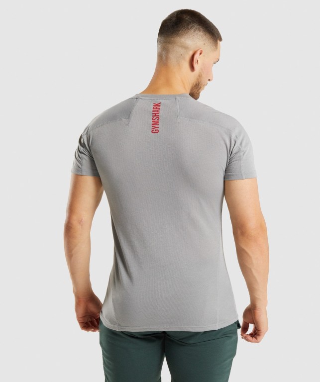 Grey Gymshark Hyper Power Men's T Shirts | US-96EGNIL