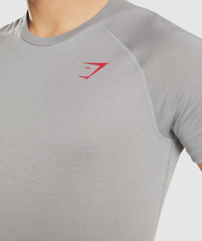 Grey Gymshark Hyper Power Men's T Shirts | US-96EGNIL