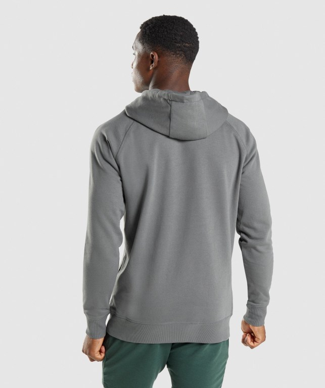 Grey Gymshark Sharkhead Infill Men's Hoodies | US-12NAWHS