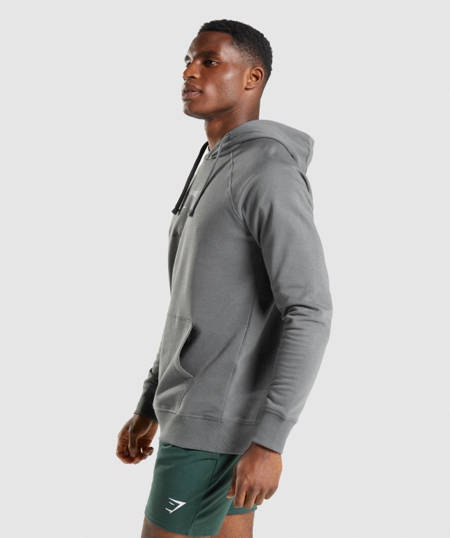 Grey Gymshark Sharkhead Infill Men's Hoodies | US-12NAWHS