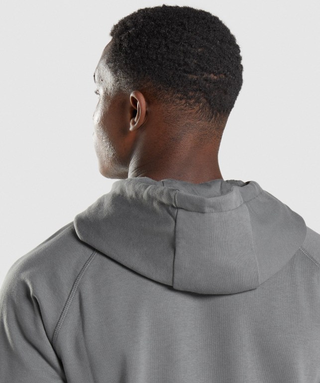 Grey Gymshark Sharkhead Infill Men's Hoodies | US-12NAWHS