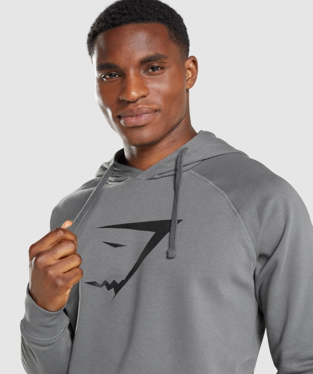 Grey Gymshark Sharkhead Infill Men's Hoodies | US-12NAWHS