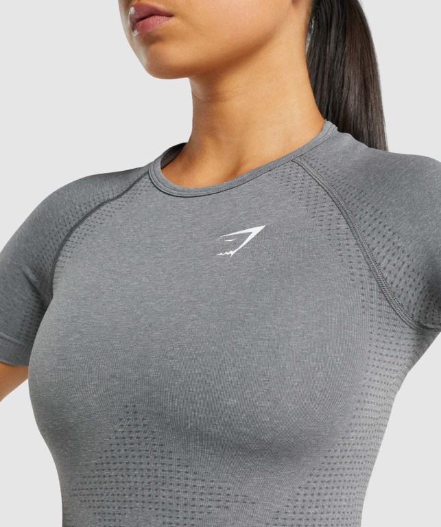 Grey Gymshark Vital Seamless 2.0 Women's T Shirts | US-54ASQNY