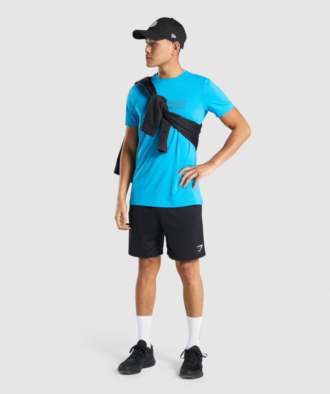 Light Blue Gymshark Arrival Graphic Men's T Shirts | US-90HSFZO