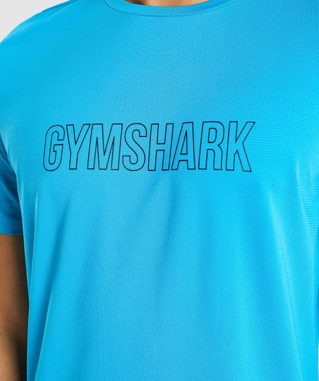 Light Blue Gymshark Arrival Graphic Men's T Shirts | US-90HSFZO