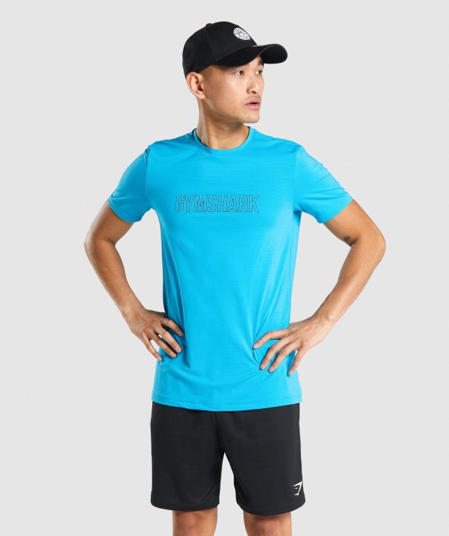 Light Blue Gymshark Arrival Graphic Men\'s T Shirts | US-90HSFZO