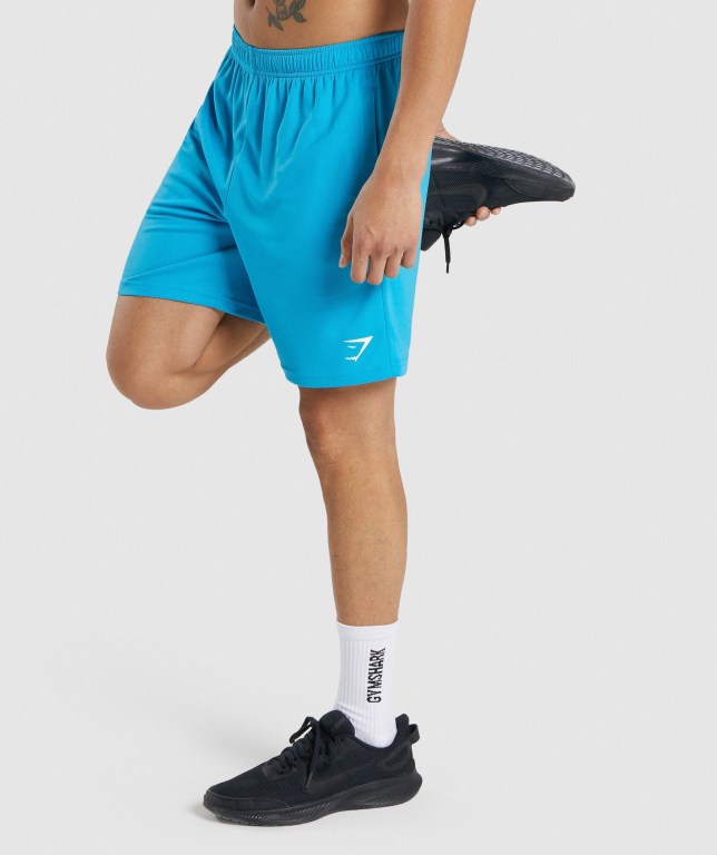 Light Blue Gymshark Arrival Knitted Men's Shorts | US-46XOSUJ