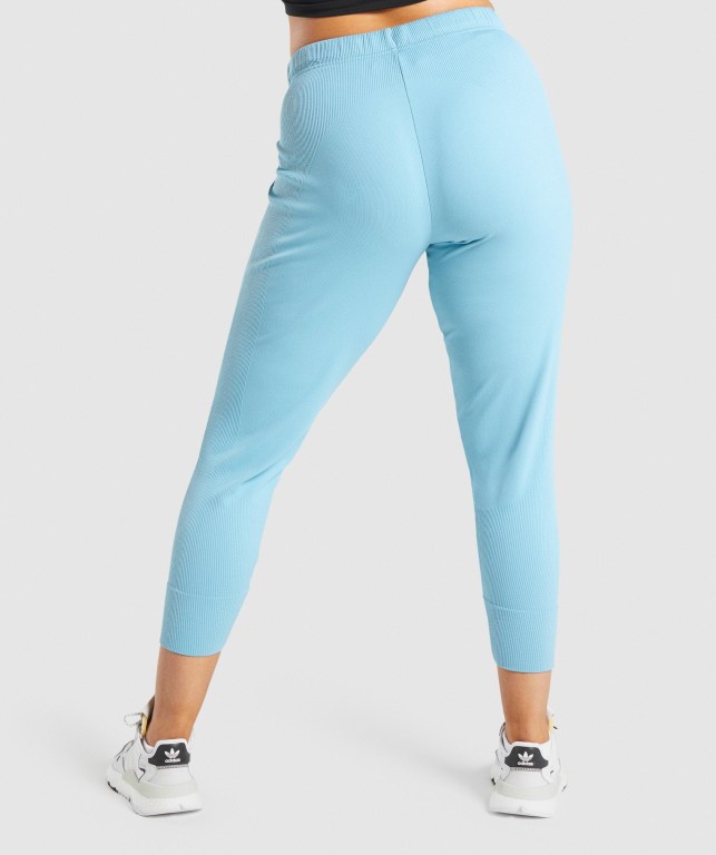 Light Blue Gymshark Pause Women's Joggers | US-20EQWKM