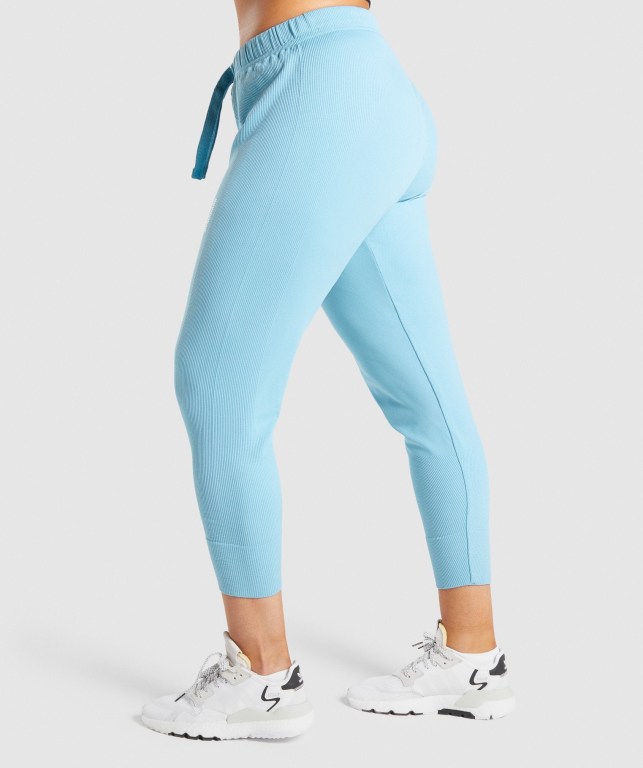 Light Blue Gymshark Pause Women's Joggers | US-20EQWKM