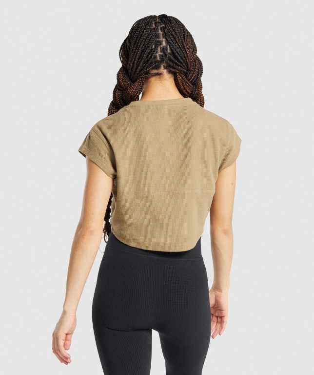 Light Brown Gymshark Pause Crop Top Women's T Shirts | US-58YKHMP