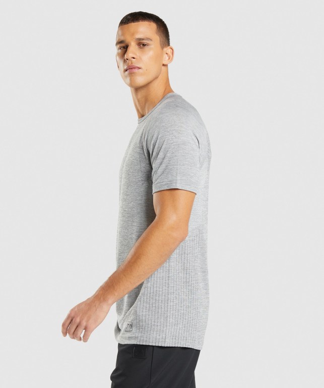 Light Grey / Black Gymshark Retake Seamless Men's T Shirts | US-12UZRXS