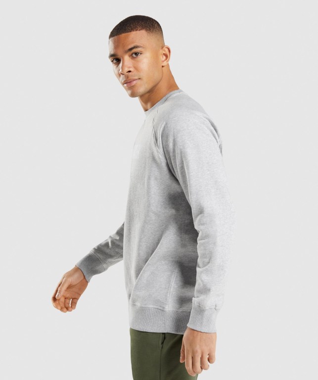 Light Grey Gymshark Apollo Crew Men's Hoodies | US-50TLDRU