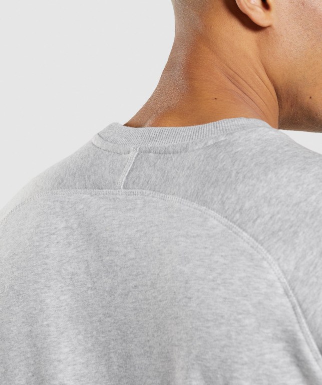 Light Grey Gymshark Apollo Crew Men's Hoodies | US-50TLDRU