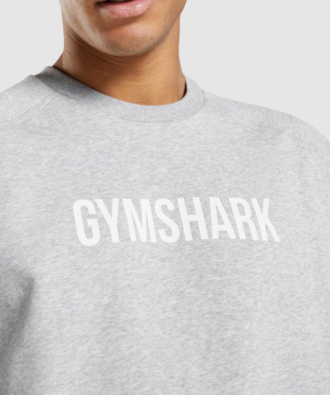 Light Grey Gymshark Apollo Crew Men's Hoodies | US-50TLDRU