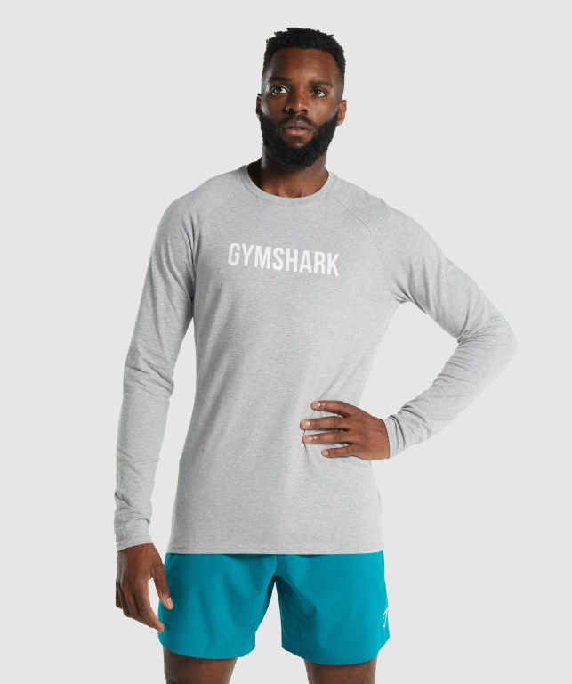 Light Grey Gymshark Apollo Men\'s T Shirts | US-79SPOGX