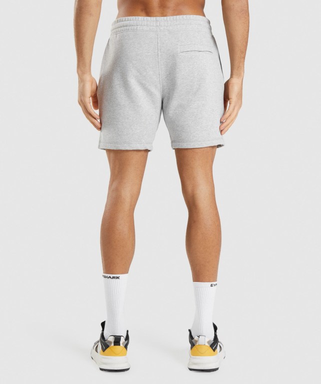 Light Grey Gymshark Crest Men's Shorts | US-78RGECK