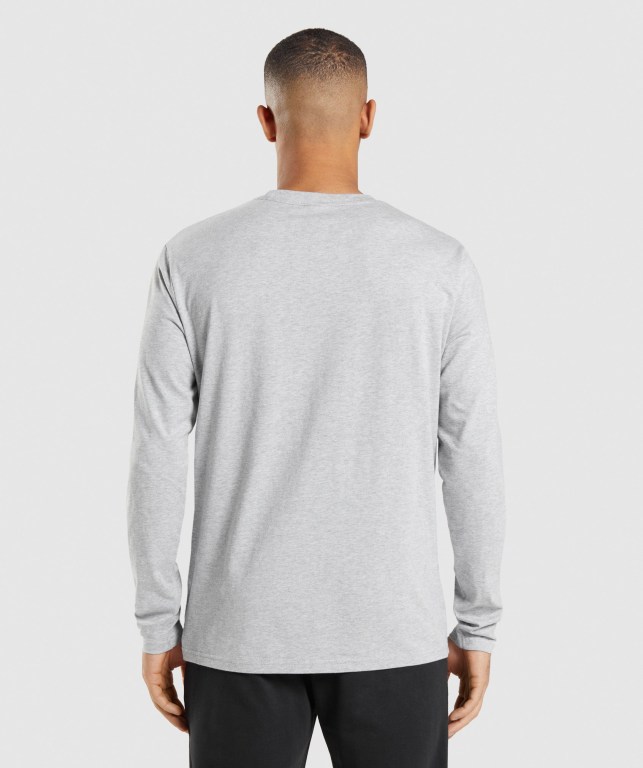 Light Grey Gymshark Crest Men's T Shirts | US-43FHCAM