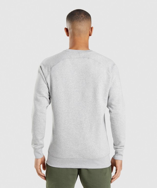 Light Grey Gymshark Crest Sweatshirt Men's Hoodies | US-30IDECT