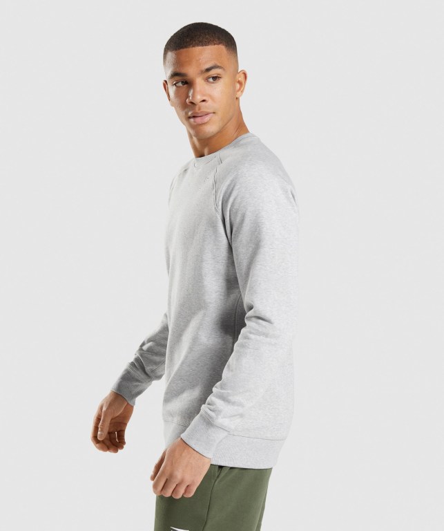 Light Grey Gymshark Crest Sweatshirt Men's Hoodies | US-30IDECT