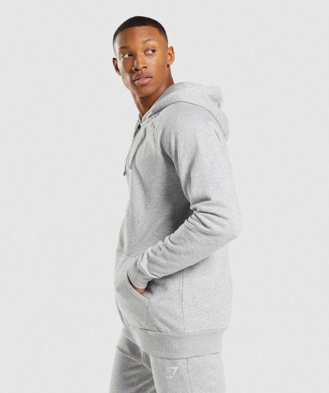 Light Grey Gymshark Crest Zip Up Men's Hoodies | US-35QWHNI