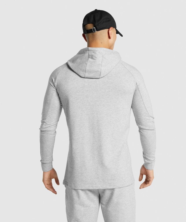 Light Grey Gymshark Critical 2.0 Men's Hoodies | US-69NERFH