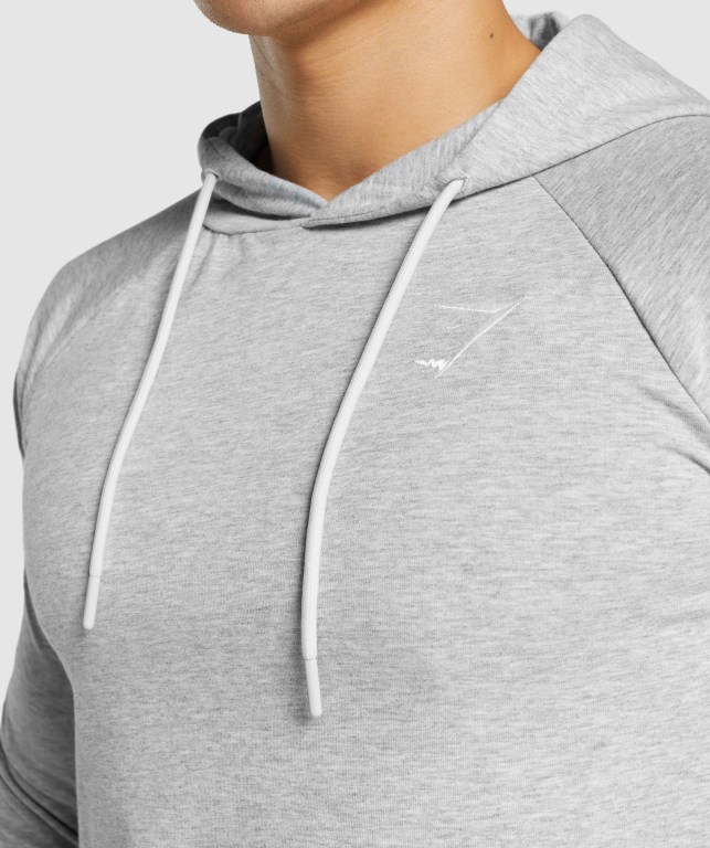 Light Grey Gymshark Critical 2.0 Men's Hoodies | US-69NERFH